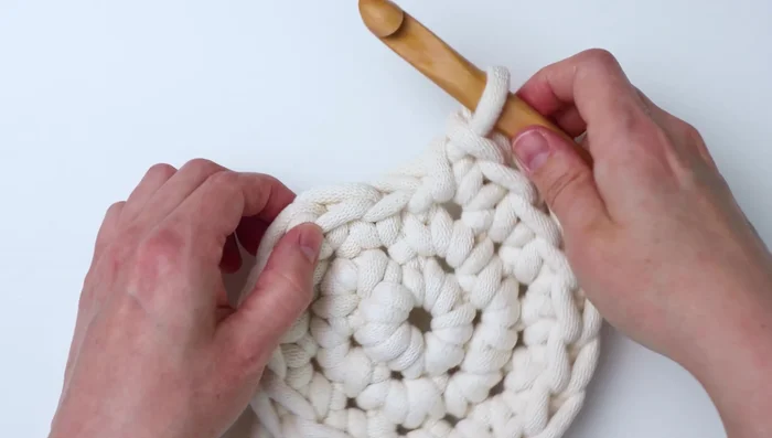 Row 6: One single crochet in the next stitch, two in the second stitch, one in the following three stitches, repeat six times.