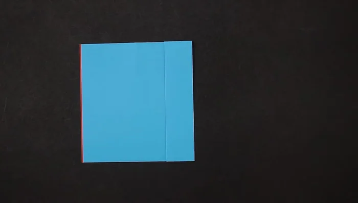 Repeat step 3 on the other side (bring the left side to the right).