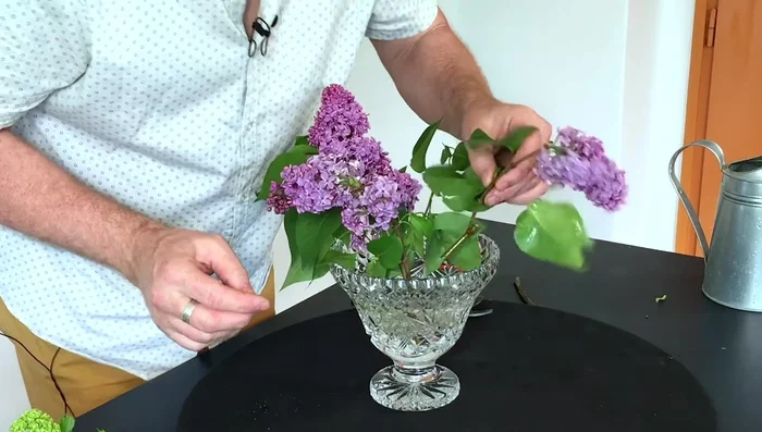 Add supporting materials: Arrange other flowers (e.g., viburnum, roses, tulips) around the larger ones, strategically using the various-sized holes. This builds a strong and visually appealing framework.