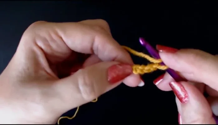 Yarn over and work a double crochet into the two chains forming a V shape to create a loop.