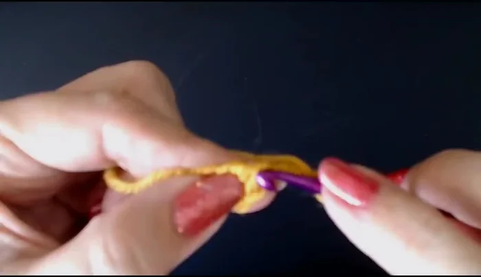 Yarn over and work a double crochet into the two chains forming a V shape to create a loop.