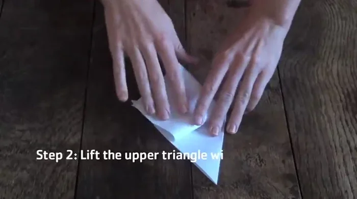 Repeat the process on the other side, bringing the corner to the center and creating a kite shape.