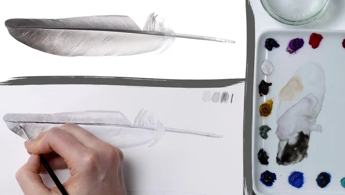 Barb Details: Use a darker, thicker mix and a tiny brush to add the fine details of the barbs, watering down the mix for lighter areas.