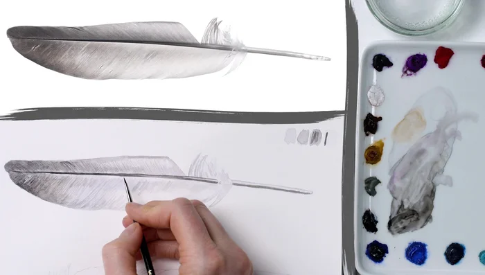 Tonal Adjustments: Darken mid-tones again with a watery mix and a larger brush. Refine dark barbs and rachis as needed.