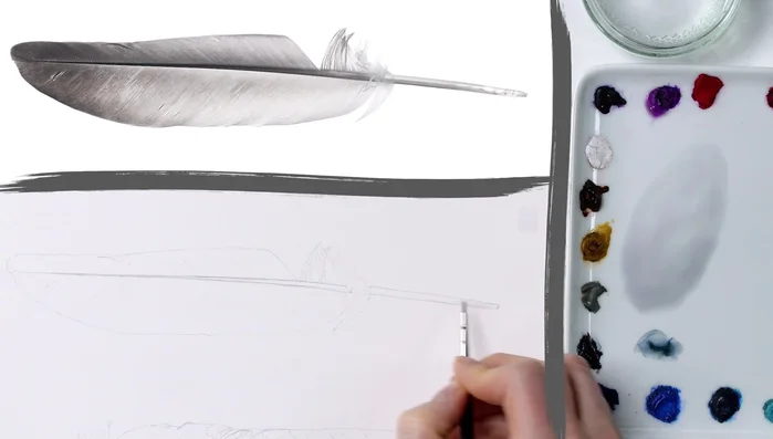 Lightest Wash: Apply a very pale grey wash over the entire feather, using a small brush and following the direction of the barbs.