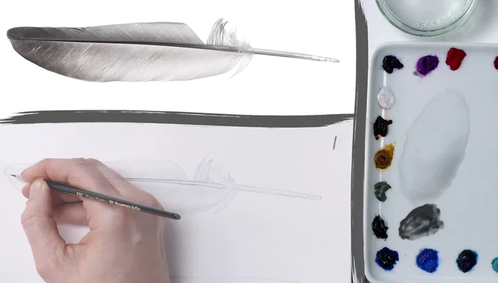 Darkest Areas: Use a tiny brush and a dark paint mix to paint the darkest areas (rachis and barbs at the tip).