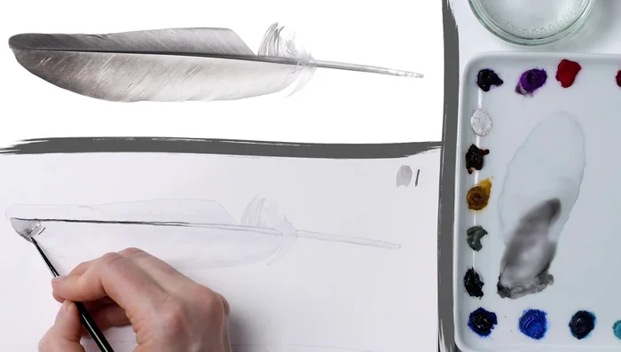 Mid-tones 1: Apply a watery, darker wash (than step 4 but lighter overall) to the next darkest areas, focusing on the color between barbs.