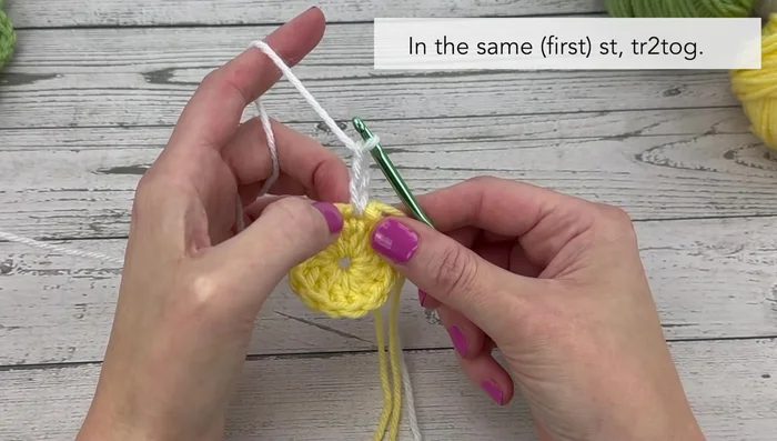 Slip stitch to join the round and fasten off the white yarn.