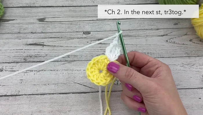 Slip stitch to join the round and fasten off the white yarn.