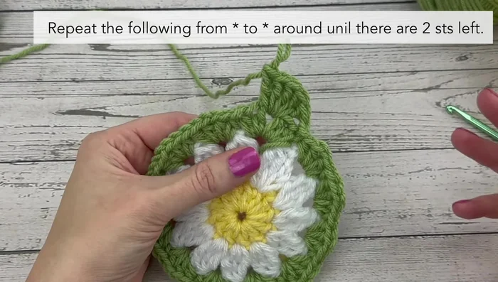 Skip the last two stitches. Slip stitch into the first chain 1 of the round. Fasten off.