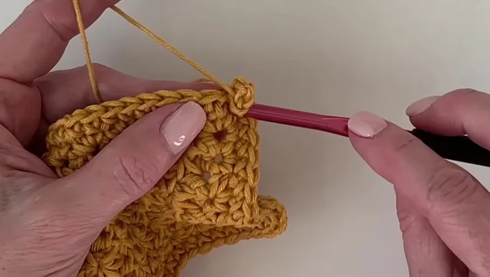 Pico border: Chain three, single crochet into the base of the chain to create a small loop (Repeat for desired spacing around the blanket).