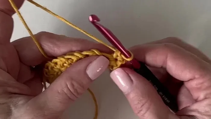 Repeat steps 3-5 across the row. Remember to keep the chains loose.