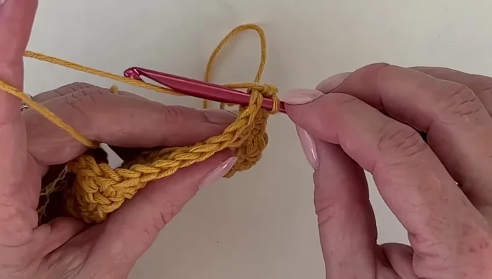 Second border round: Instead of yarn over and pulling through, hook over the yarn to create a cross-stitch effect. This creates a slightly puffy and textured border.