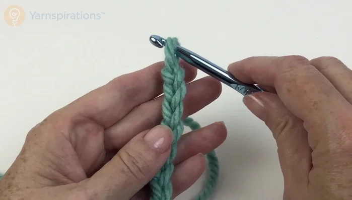 Slip stitch in each of the last four chains and turn.