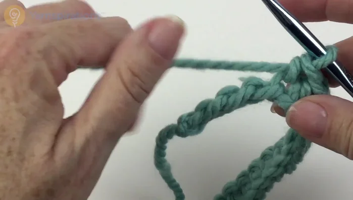 Slip stitch in each of the last four chains and turn.