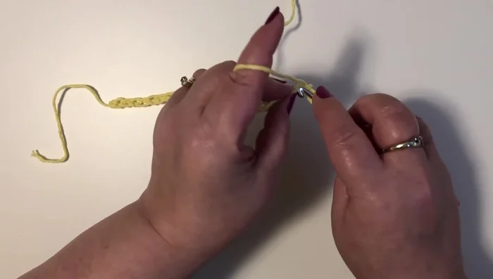 Repeat steps 3 and 4 across the row, ending with a single crochet in the last chain.