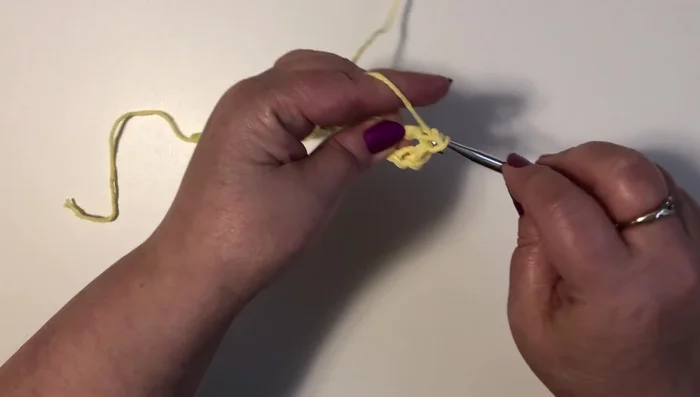 Repeat steps 3 and 4 across the row, ending with a single crochet in the last chain.