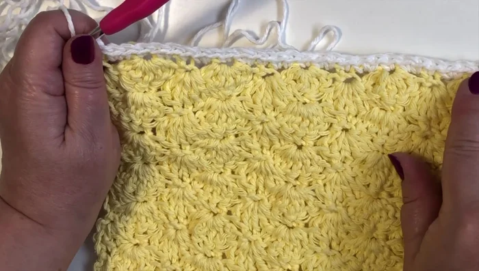 Work a second row of edging, following the same spacing as the previous row.