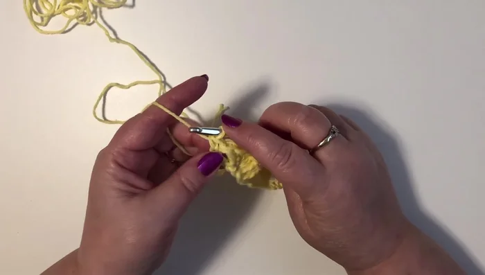 Skip two stitches. Work 5 double crochet in the next single crochet from the last row.