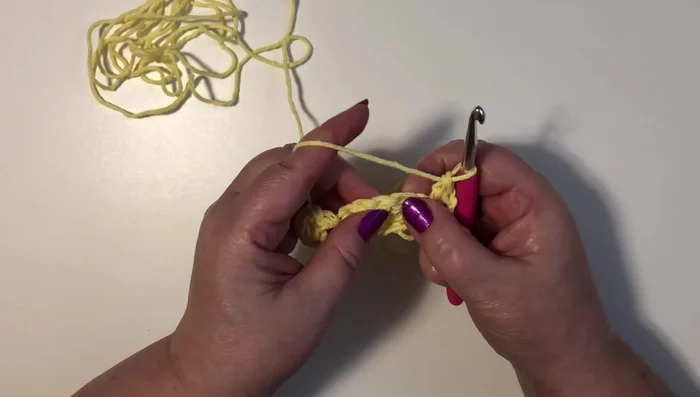 Skip two stitches. Work 5 double crochet in the next single crochet from the last row.