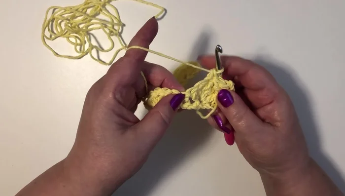 Skip two stitches. Work 5 double crochet in the next single crochet from the last row.