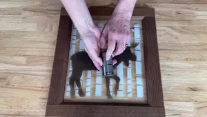 DIY Stenciled Glass Art: Upcycled Cabinet Door Transformation