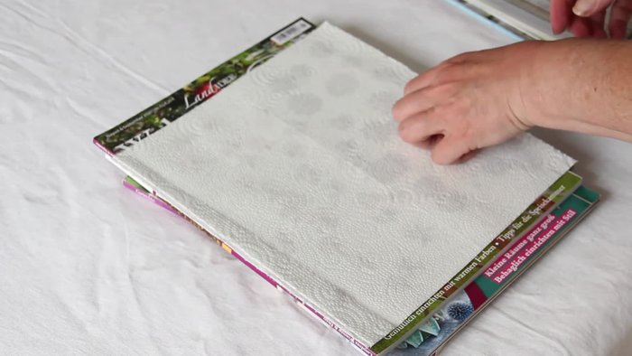 Prepare your pressed flowers. Choose flowers with fine petals for easier drying.