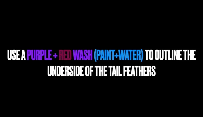 Create a purple and red wash by mixing a little water into these colors and outline the underside of the wing and tail feathers.