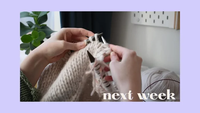 Separate the sleeves from the body (This step is detailed in part 2 of the video series).