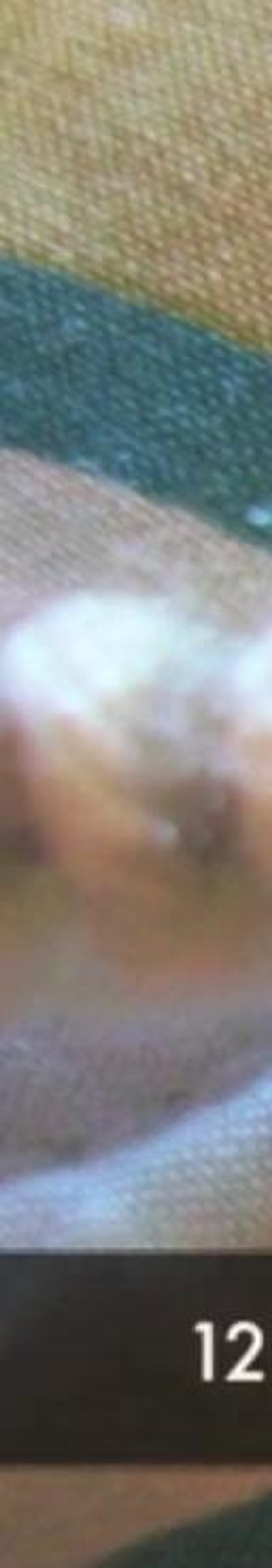 Insert additional stitches: 1 after 12 stitches, 1 after 4 stitches, 1 after 12 stitches, and 1 after 4 stitches (total of 4 additional stitches).