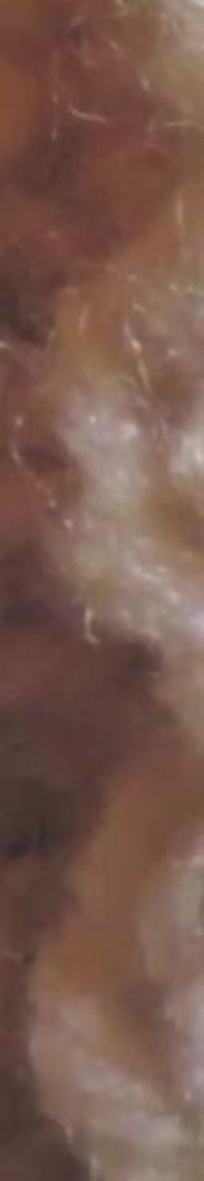 **Round 3:** Purl two, slip one purlwise, knit one, yarn over, knit one, pass slipped stitch over three stitches, repeat, purl two.