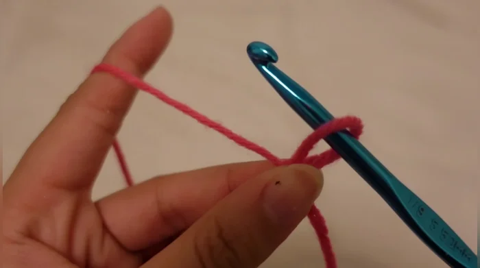 Single crochet the last five chains.