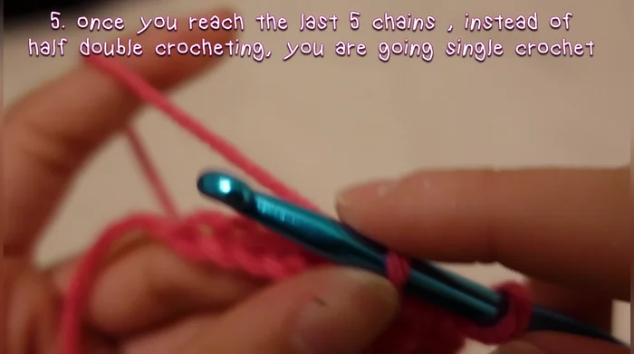Single crochet the last five chains.