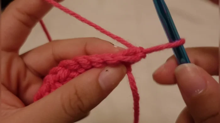 Half double crochet through the back loops until you reach 19 rows. This completes half of the hat.