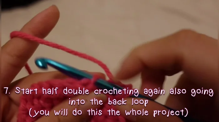 Half double crochet through the back loops until you reach 19 rows. This completes half of the hat.