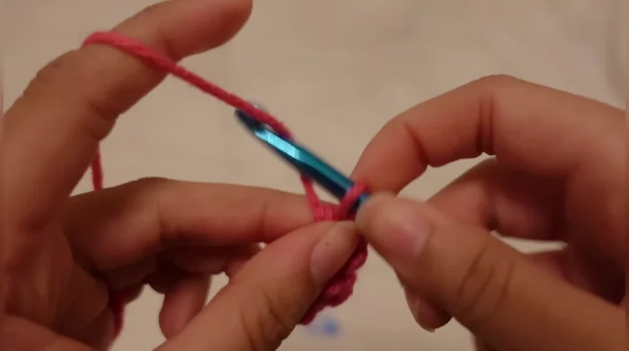 Repeat the increase row (double crochet into each stitch twice) and single crochet row until desired ear size is reached. 