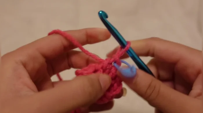 Repeat the increase row (double crochet into each stitch twice) and single crochet row until desired ear size is reached. 
