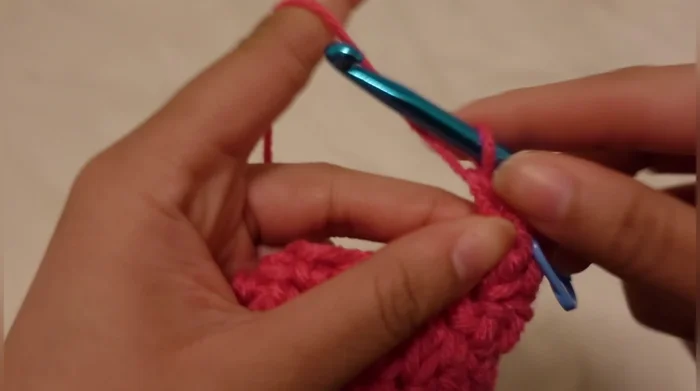 Single crochet and double crochet rows alternately until the ear is complete. Fasten off.