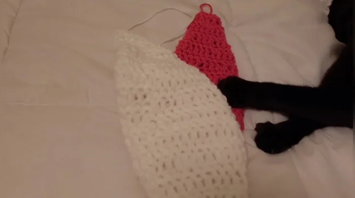 Repeat steps 9-16 for the second ear.