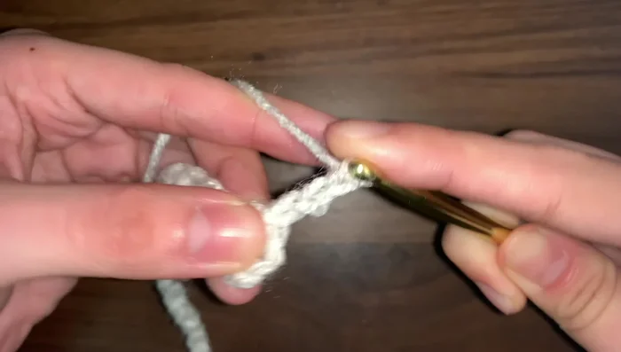 Slip stitch four times along the foundation chain.