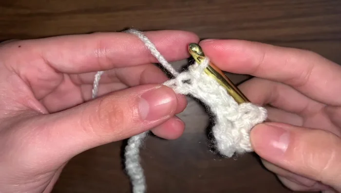 In the very last chain space, create five petals.