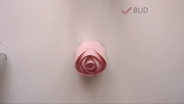 Layer the petals: Build the flower layer by layer, using the 'plus' formation for the first two layers and the 'X' formation for the subsequent layers, always ensuring a slight gap between petals and layers to create dimension.