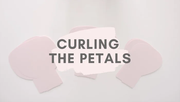 Prepare the petals: Cut out eight bud petals, eight medium petals, and twelve large petals using your chosen method (Cricut or hand-cutting).