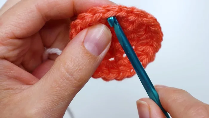 Slip stitch to finish the petal.