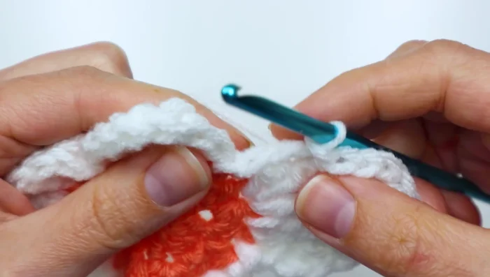 Repeat Step 14 for each petal, skipping two stitches before each petal.