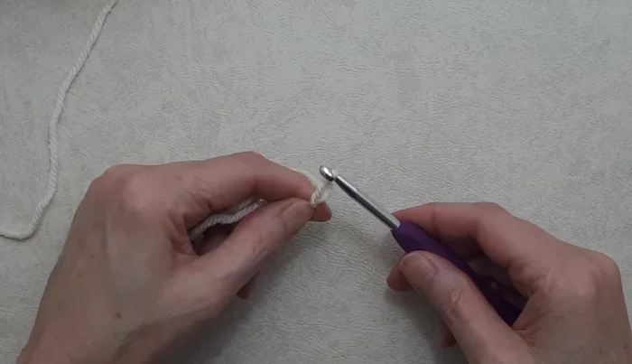 Chain 5, then slip stitch into the first chain to form a ring.