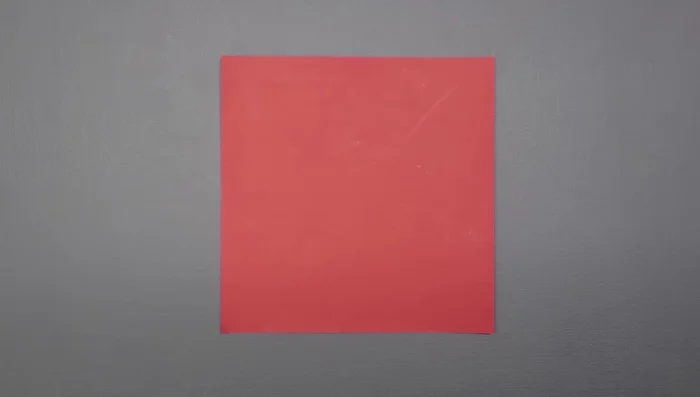 Rotate the square and divide it into thirds again, using the same 'S' curve and crease method as before.