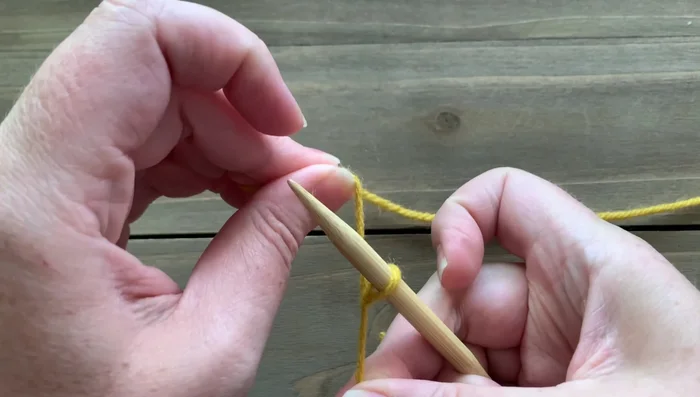 Make one slip knot on your needle. No casting on required.