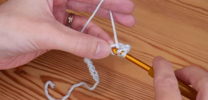 Skip the next two chains. In the third chain, repeat step 4 (2 trebles, chain one, 2 trebles).