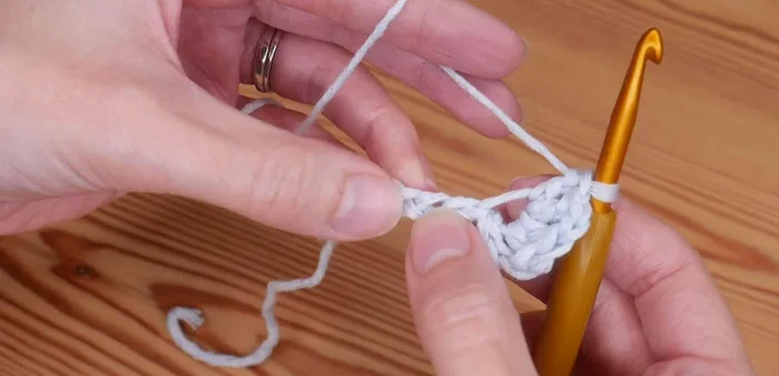 Skip the next two chains. In the third chain, repeat step 4 (2 trebles, chain one, 2 trebles).